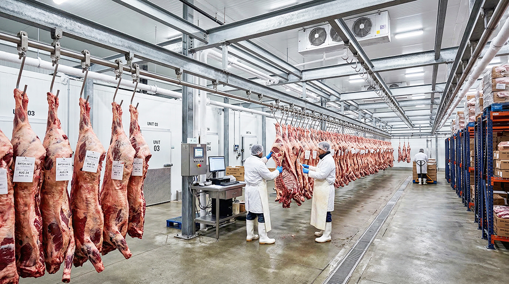 Indústria de Mato Grosso do Sul bateu recorde de exportação em fevereiro, com destaque para celulose, carnes e soja - (Foto: Imagem ilustrativa/A Crítica)