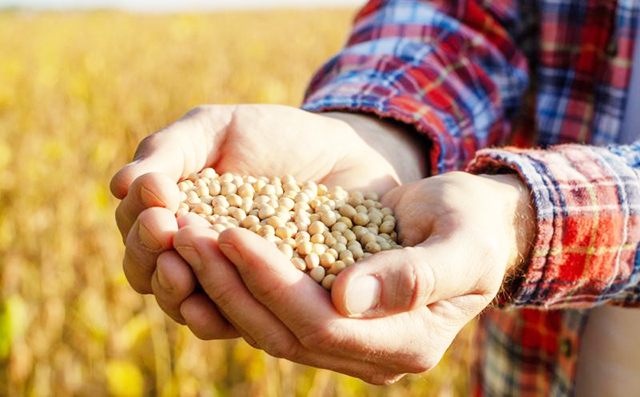 Trator aplica fertilizante em plantação de soja em Mato Grosso do Sul, simbolizando o aumento de custos com insumos após mudanças na legislação tributária federal.