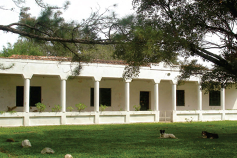 Fazenda do Espinilho - Pantano Grande