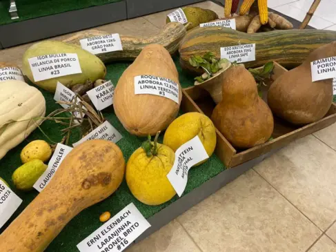 Produtos estiveram expostos durante a quinta-feira, 24, Agropecuária do Centro Comercial (Foto: Júlia Brandenburg)