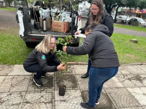 Mudas foram distribuídas no sábado (Foto: AI Prefeitura)