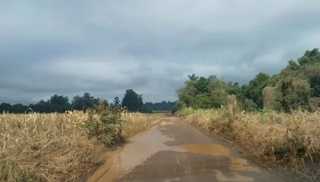 Estrada que liga as localidades de Linha Sapé até Linha Marechal Floriano (Foto: Divulgação)