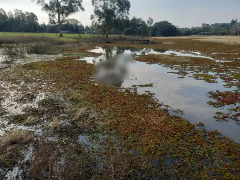 Corpo foi localizado por uma moradora, que ao realizar atividades na propriedade, avistou o cadáver boiando em um açude. (Foto: Divulgação)