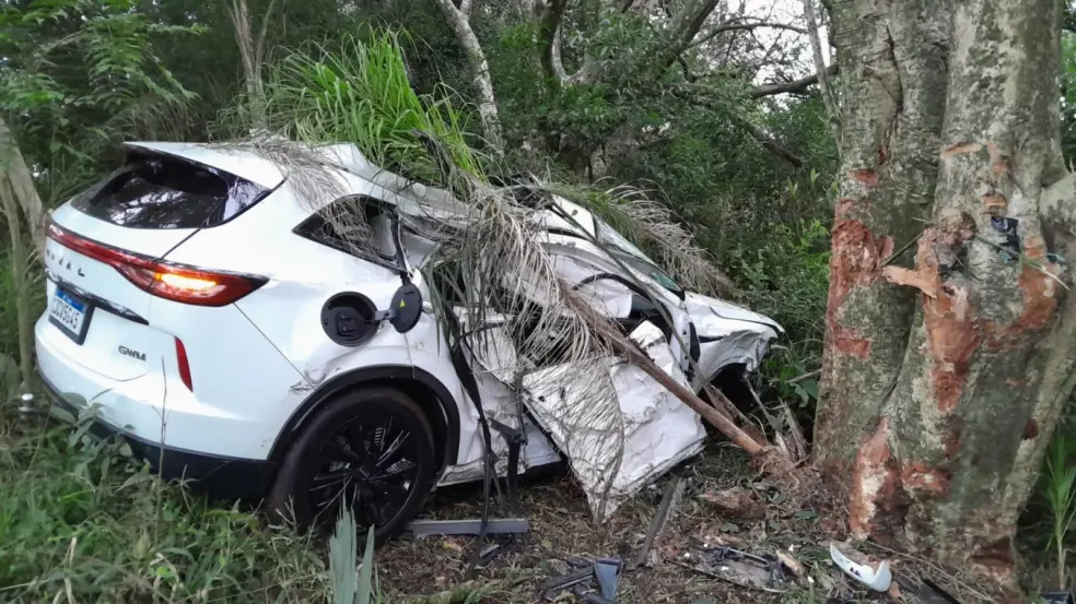 Uma das caminhonetes envolvidas no acidente ficou totalmente destruída (Foto: Alvaro Pegoraro/Folha do Mate)