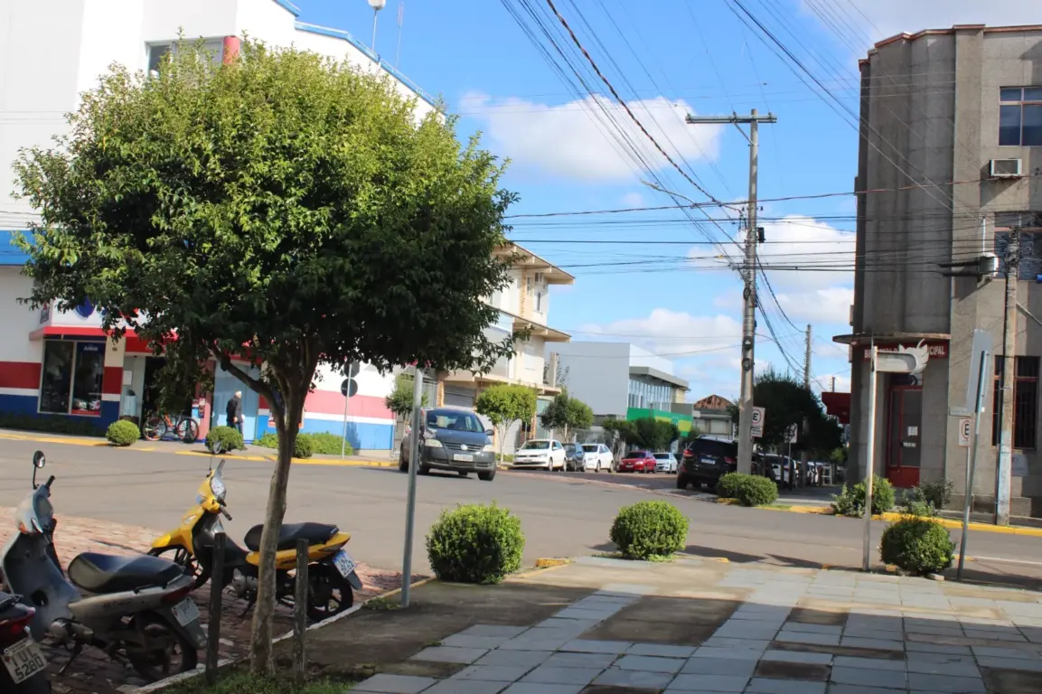 Guabiju é uma das espécies nativas indicadas para calçadas (Foto: Juliana Bencke/Folha do Mate)