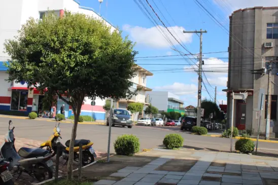 Guabiju é uma das espécies nativas indicadas para calçadas (Foto: Juliana Bencke/Folha do Mate)
