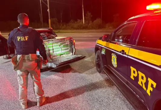 Motorista tentou fugir e só parou depois que furou dois pneus da caminhonete (Foto: PRF/Divulgação)