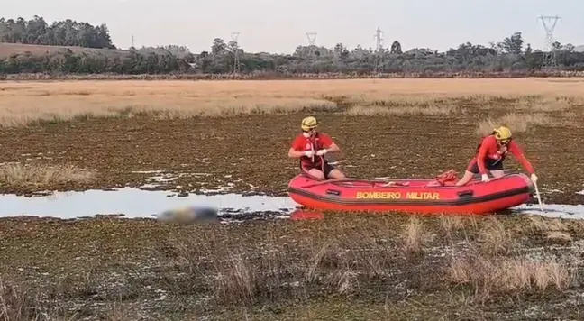 Bombeiros tiveram dificuldades para retirar o corpo da água (Foto: Reprodução/FM)