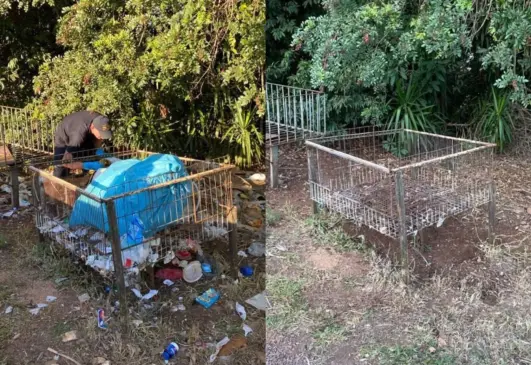 Antes e depois mostra como a limpeza melhora o visual das margens da rodovia (Foto Arquivo Pessoal)