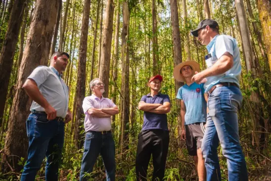 Orientadores da CBT