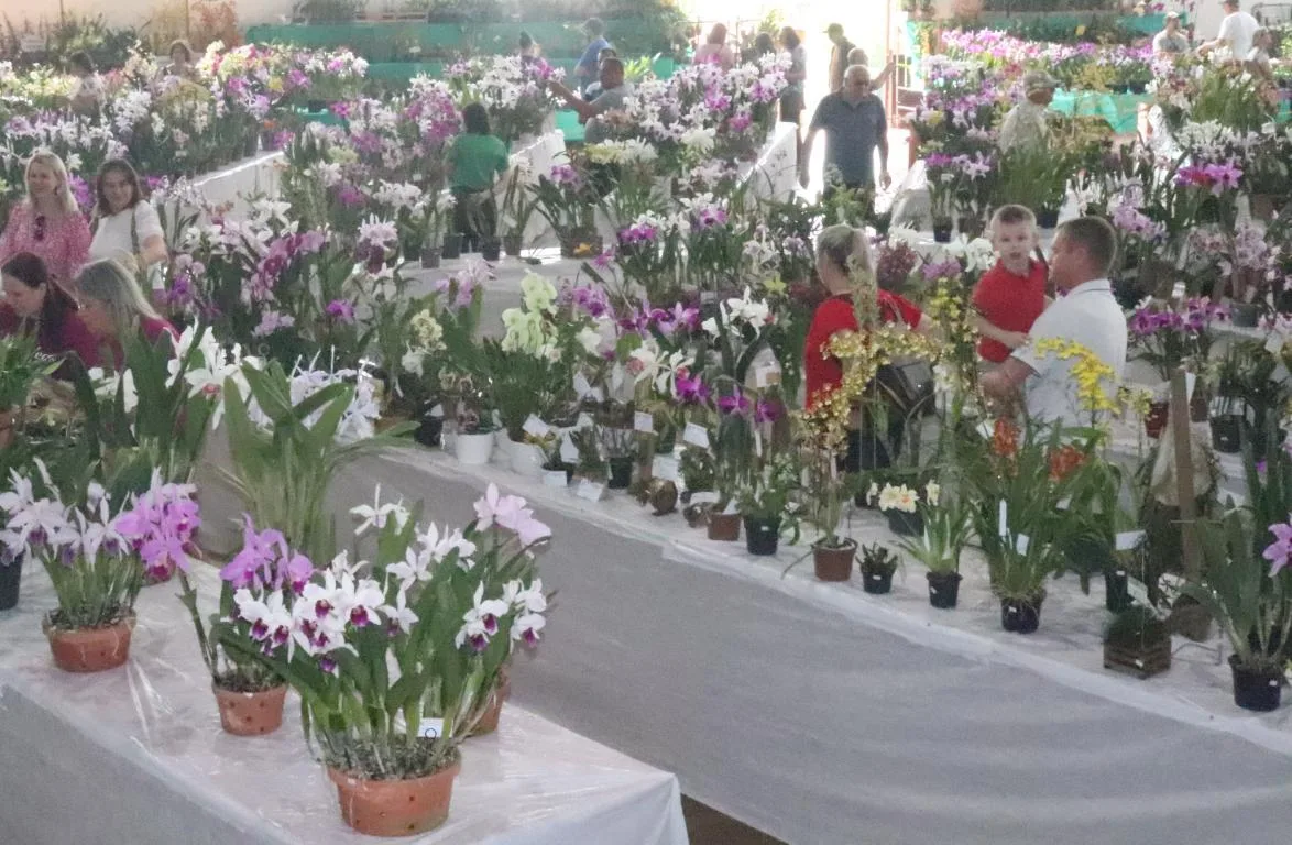Reunião decidiu pela realização da exposição e pela adiamento da festa