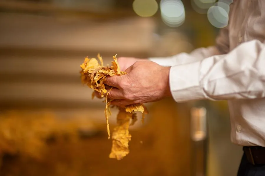 Tabaco-brasileiro-e-exportado-para-mais-de-100-paises