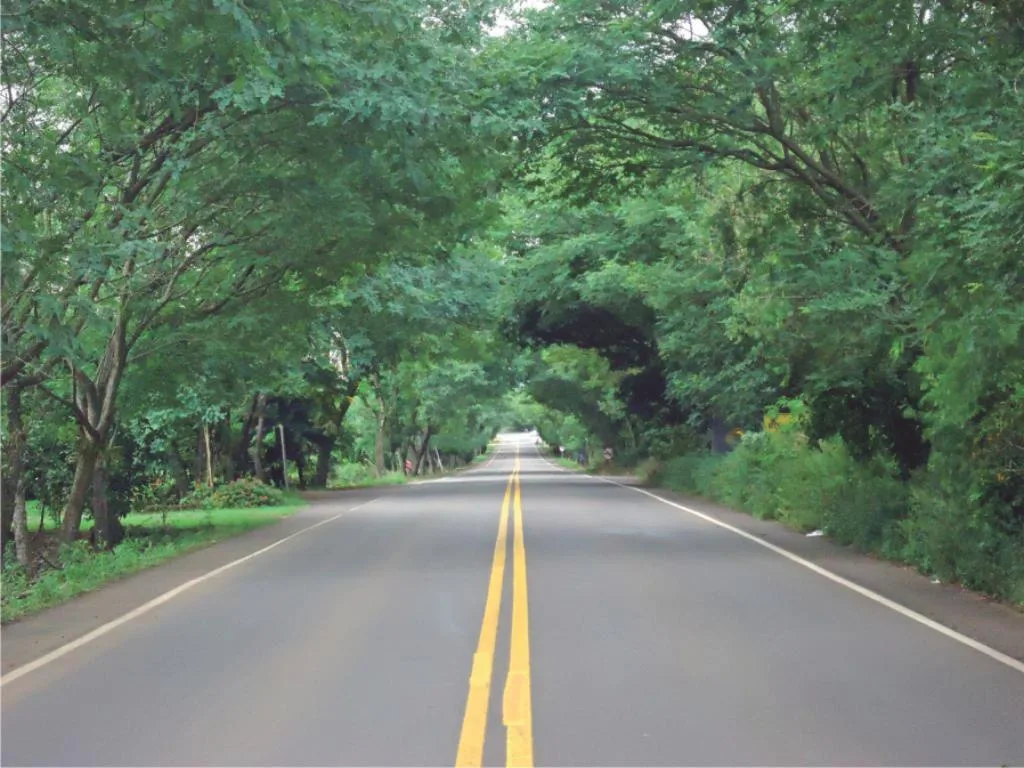 Considerado um cartão postal do município, túnel verde vai contar com caminhódromo e ciclovia