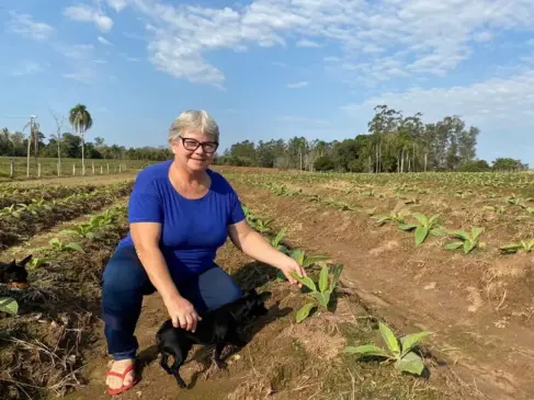 isane planta junto com o esposo Paulo, 25 mil pés de tabaco (Foto: Júlia Brandenburg)