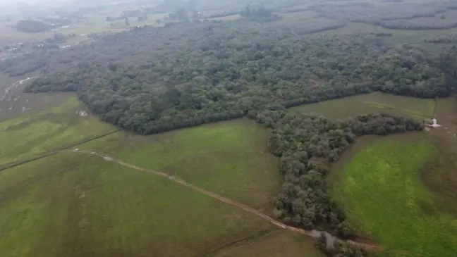 Área de pouco mais de 23 hectares, em Linha Hansel, é a única reserva ambiental de Venâncio Aires