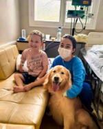 Golden retriever levou alegria e leveza para o HSSM
(Foto:: Divulgação)