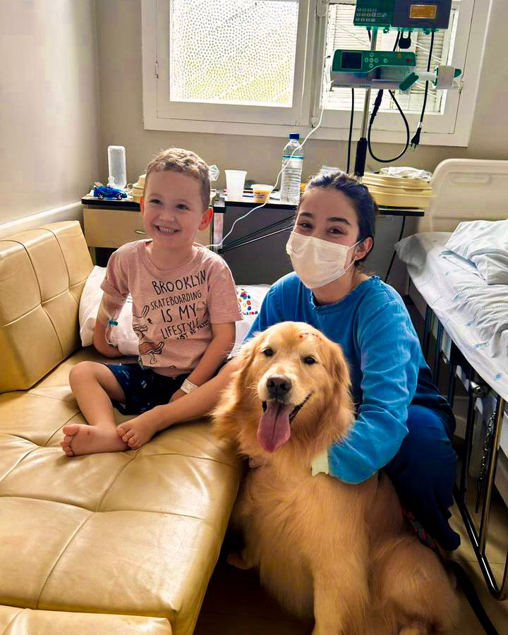 Golden retriever levou alegria e leveza para o HSSM
(Foto:: Divulgação)