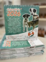 Calendário já está disponível (Foto: Divulgação)