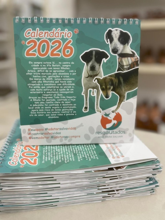 Calendário já está disponível (Foto: Divulgação)