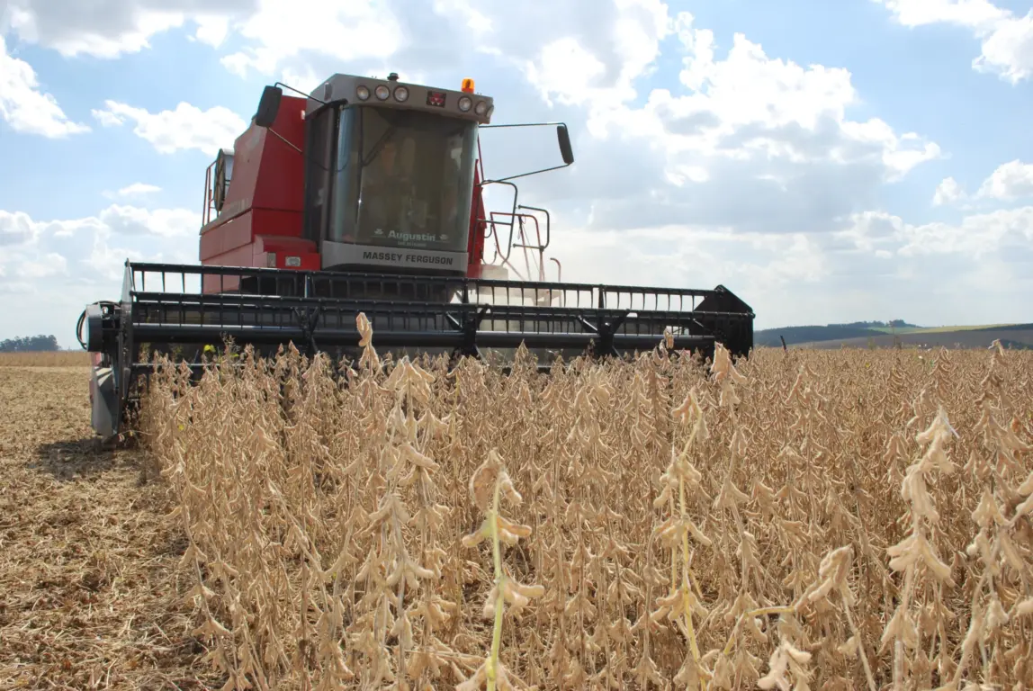Para soja, a produção de 16,6 milhões de toneladas, queda de 23,6% (Foto: Luiz Henrique Magnante/Embrapa) Para soja, a produção de 16,6 milhões de toneladas, queda de 23,6% (Foto: Luiz Henrique Magnante/Embrapa)
