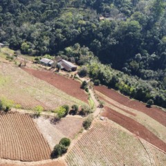 Recursos serão utilizados na melhoria das propriedades rurais
