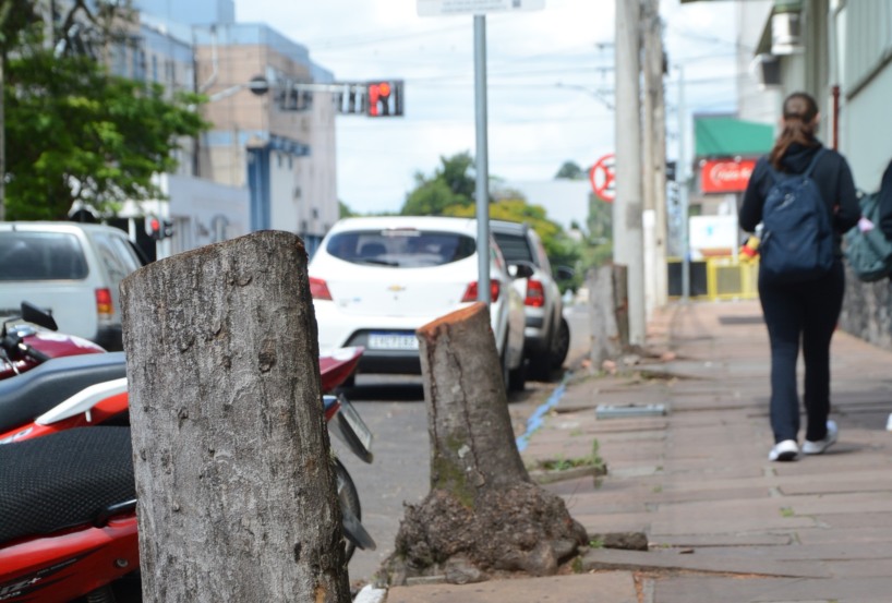 Grande parte das árvores cortadas ficam na região central (Foto: Alvaro Pegoraro/Folha do Mate) Grande parte das árvores cortadas ficam na região central (Foto: Alvaro Pegoraro/Folha do Mate)