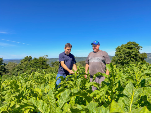 Produtor André Staub e o técnico agrícola Rodrigo Schroeder: parceria e orientação para uma boa safra (Foto: Divulgação/UTC)