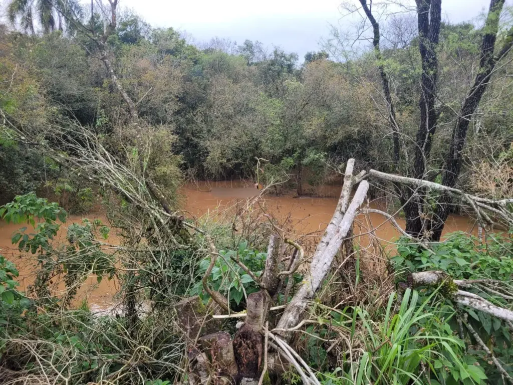 (Foto: Felipe Rosa/ Rádio Terra FM)