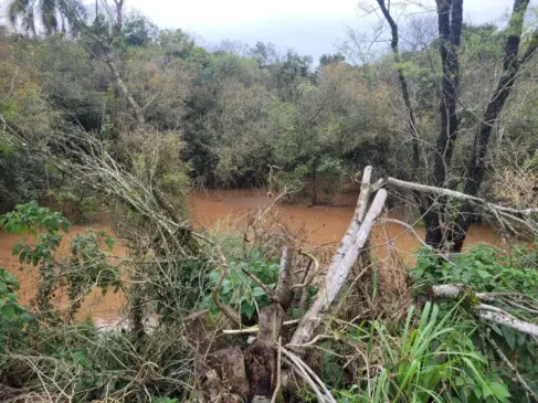 (Foto: Felipe Rosa/ Rádio Terra FM)