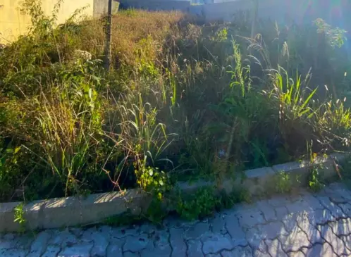 Segundo a Prefeitura, responsabilidade é do proprietário do espaço (Foto: AI Prefeitura)