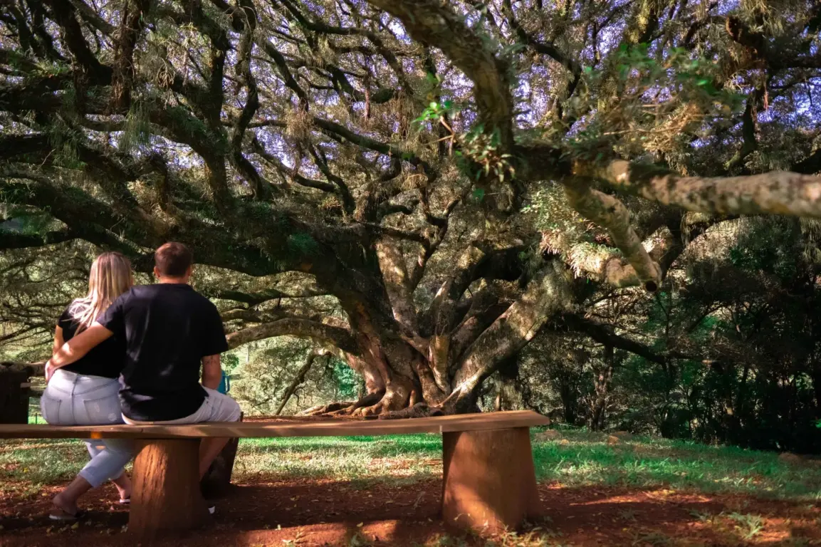 Candidatas do concurso da 18ª Fenachim também estarão presentes, apresentando os locais e abordando as histórias dos mesmos. (Divulgação) Candidatas do concurso da 18ª Fenachim também estarão presentes, apresentando os locais e abordando as histórias dos mesmos. (Divulgação)