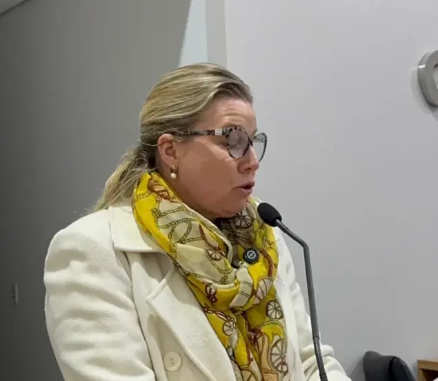 Parlamentar trouxe o assunto na tribuna (Foto: AI Sandra Silberschlag)