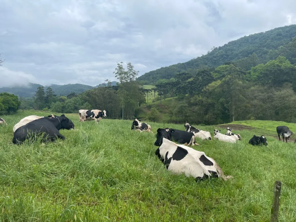 Evento ocorreu na propriedade de Aloísio Finkler, em Linha São Miguel (Foto: Júlia Brandenburg)