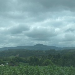 (Foto: J&uacute;lia Brandenburg/Folha do Mate)