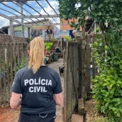 Ação ocorreu no bairro Universitário (Foto: Polícia Civil/Divulgação)