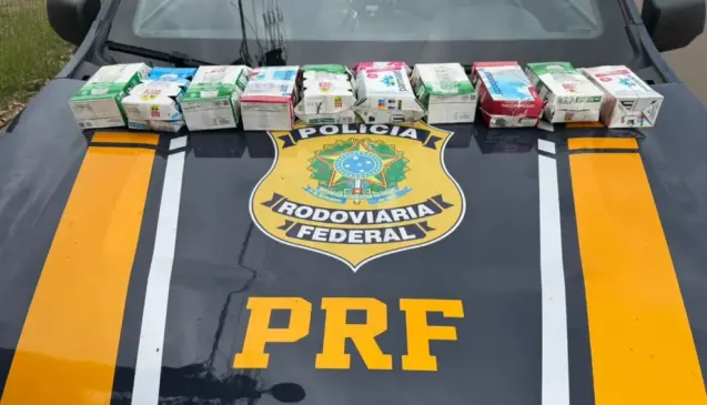 Aves estavam sendo transportadas dentro de caixas de leite (Foto: PRF/Divulgação)
