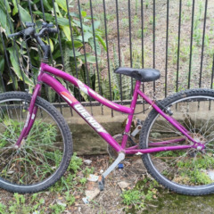 Bicicleta feminina foi entregue na Delegacia de Polícia (Foto: João Araújo/Departamento de Trânsito/Divulgação)