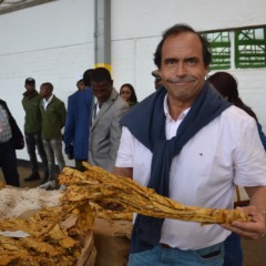 Presidente da ITGA, José Javier Aranda defende a necessidade de reconhecer o trabalho dos produtores de tabaco (Foto: Divulgação/ITGA)