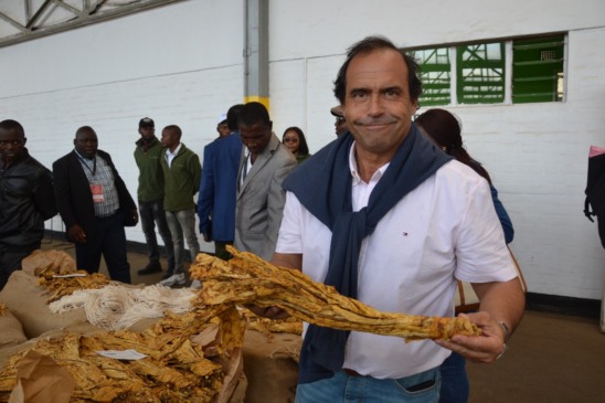 Presidente da ITGA, José Javier Aranda defende a necessidade de reconhecer o trabalho dos produtores de tabaco (Foto: Divulgação/ITGA)