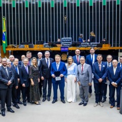 Integrantes das entidades homenageadas (Foto: AI/Deputado federal Heitor Schuch)