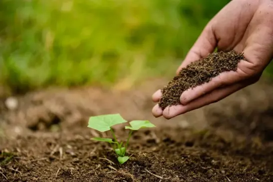 Inscrições para o programa Operação Terra Forte iniciam nesta quarta-feira
