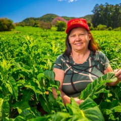 Além do trabalho na lavoura, Elonita se dedica ao planejamento e gestão das safras (Foto: Gelson Pereira/AI CBT)