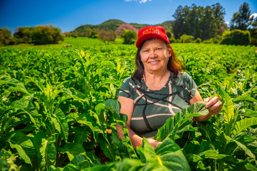 Além do trabalho na lavoura, Elonita se dedica ao planejamento e gestão das safras (Foto: Gelson Pereira/AI CBT)