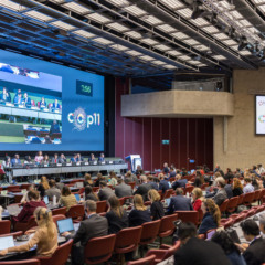 11ª Conferência das Partes ocorre em Genebra, na Suíça (Foto: Divulgação/ World Health Organization)