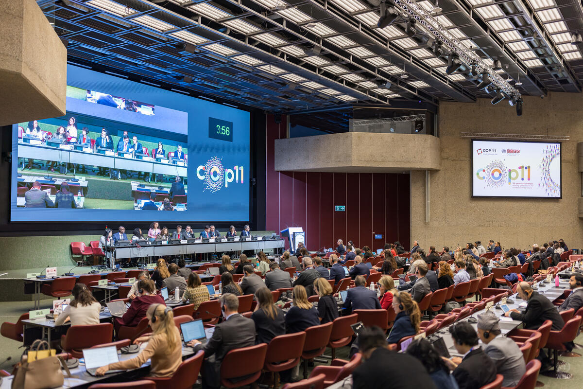 11ª Conferência das Partes ocorre em Genebra, na Suíça (Foto: Divulgação/ World Health Organization)