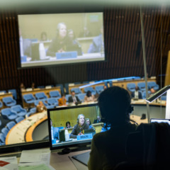 Brasil apresenta proposta na MOP 4 (Foto: OMS / FCTC / Pierre Albouy)