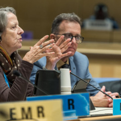 Brasil na MOP 4 em Genebra