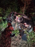 Carro ficou completamente destruído após sair da pista e bater em árvores no meio do mato (Foto: Divulgação)