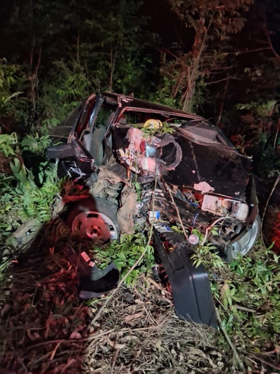 Carro ficou completamente destruído após sair da pista e bater em árvores no meio do mato (Foto: Divulgação)