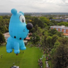 Público pode assistir à montagem e à decolagem dos balões (Foto: Divulgação)